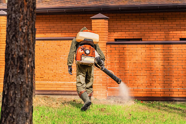 Trusted Rodent Control service in Northdale, FL - Nex Pest Control